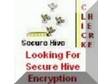 Secure Hive 2010 Encryption Software. Secure Hive....