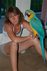 Hyacinth Macaw Parrots for Sale